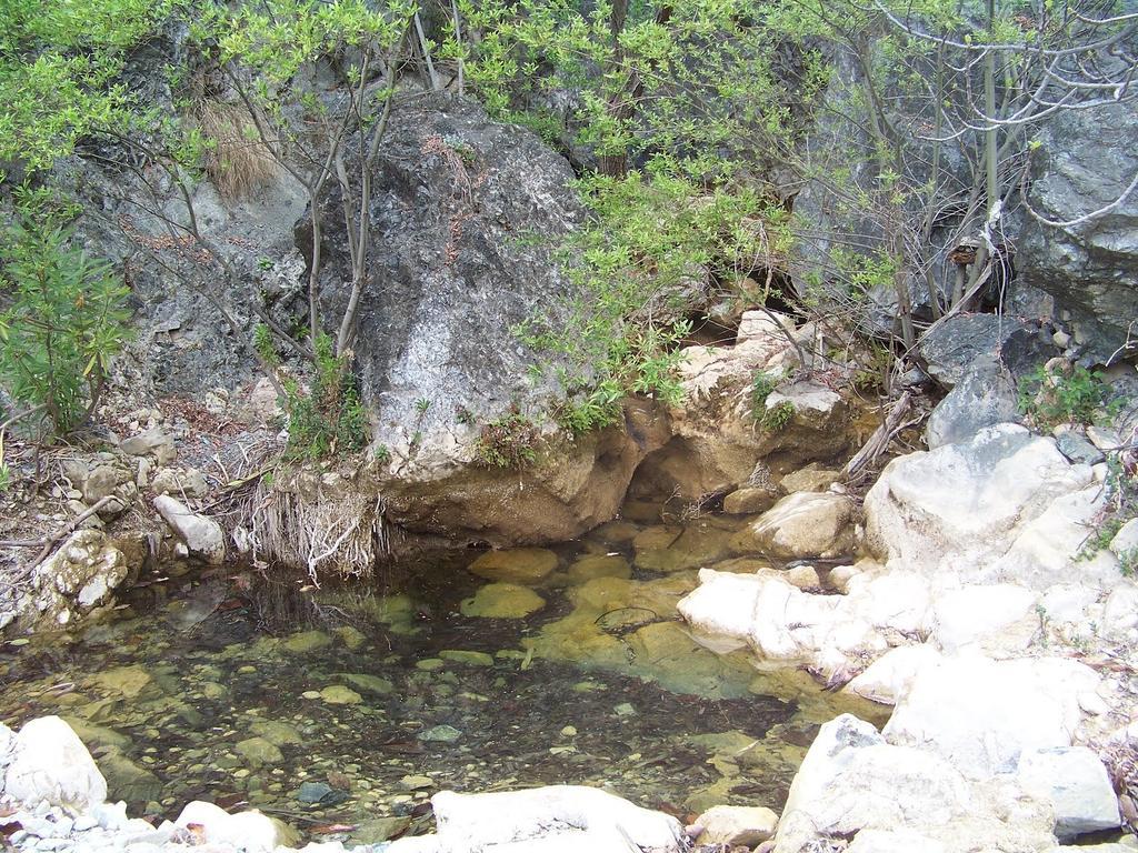 Hostal Sango Sierra De Las Nieves Alozaina Kültér fotó